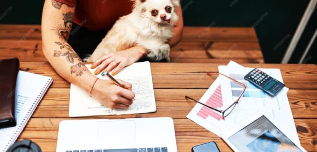 Processor Relationships and Chargeback Thresholds