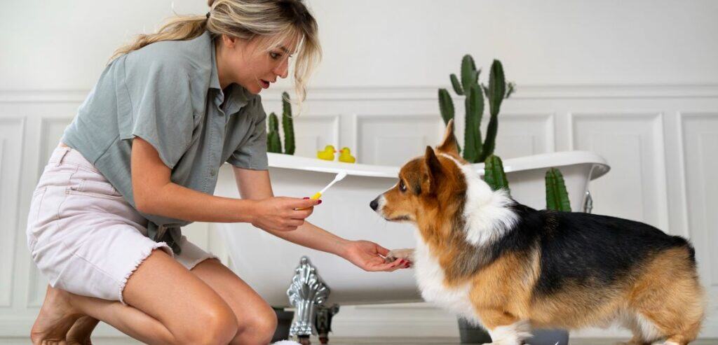 Why Pet Grooming Chargebacks Are Different from Retail Disputes