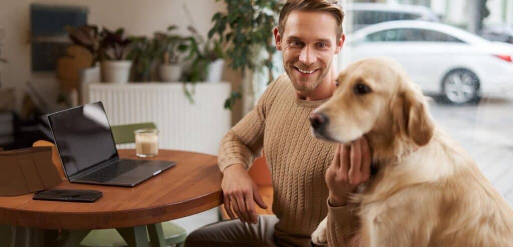 Long-Term Impact of Chargebacks on Grooming Businesses