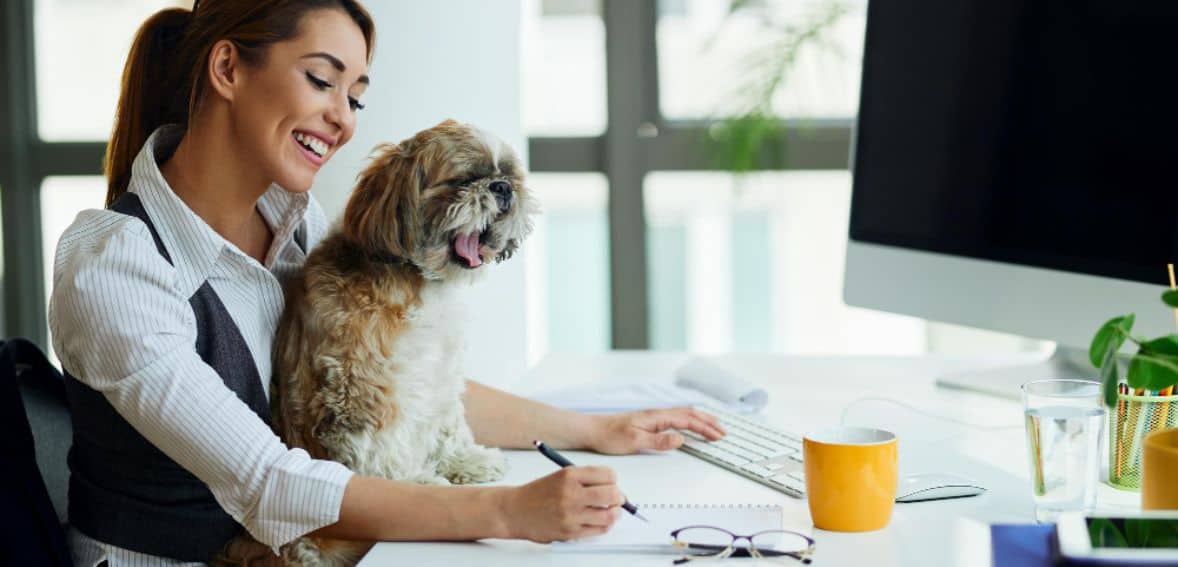 Digital Payment in pet care