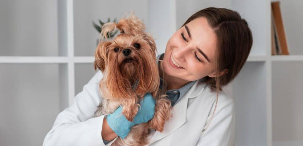 Pet care